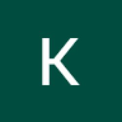 kristina_sireikienė avatar