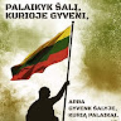 vytautas_didziulis avatar