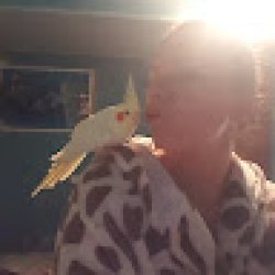 kristina_višniauskiene avatar