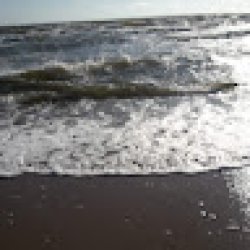 akvilė_magdušauskienė avatar