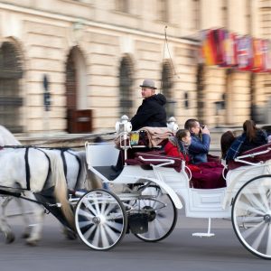 Vilnius Viena Ryanair skrydžiai