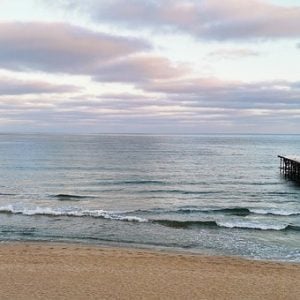 sunny day, varna, the sea