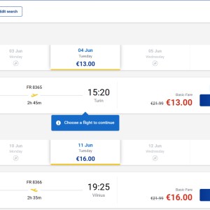 Vilnius Turinas 2024 m. birželio mėn. tik €29 (7n.)