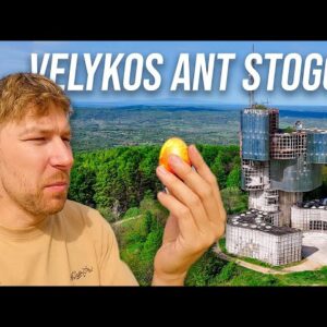 MANO VELYKOS ANT STOGO (4)