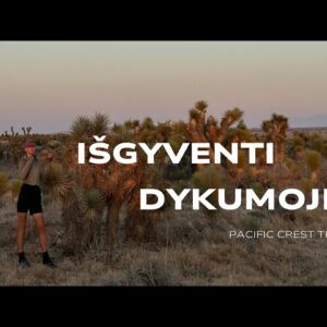 Einu per Ameriką #6 – išgyventi dykumoje