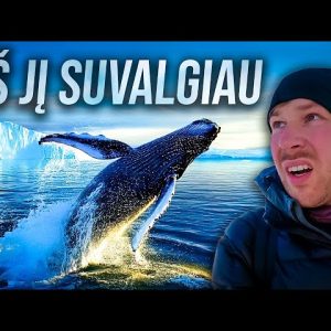 NORĖJAU TIK PAMATYTI BANGINĮ, BET JĮ SUVALGIAU..