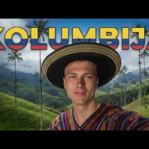 GRAŽIOS MERGINOS, KAVOS PLANTACIJOS, PALMIŲ SLĖNIS