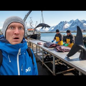 Eating Whale in the Arctic: A Shocking Tradition Revealed