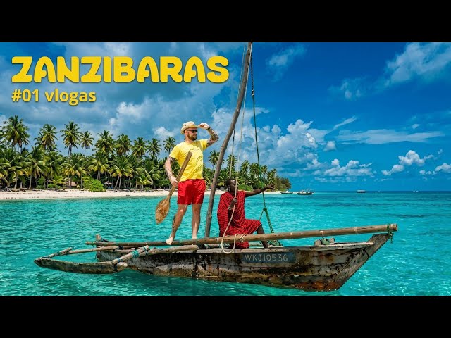 Mockų kelionė po Afriką: Zanzibaras ir Tanzanija #01 vlogas
