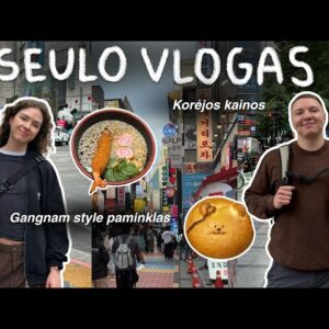 P. KORĖJA #2   kainos, maistas ir Gangnam style paminklas