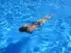 woman, swim, pool, swimming, swimmer, female, girl, athlete, female swimmer, underwater, water, leisure, recreation, nature, recreational activity, sport, swimming pool