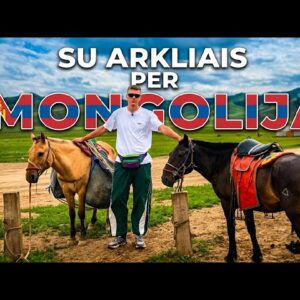SUSIPAŽINKITE – ŽIBUTĖ IR KREPŠNEŠYS