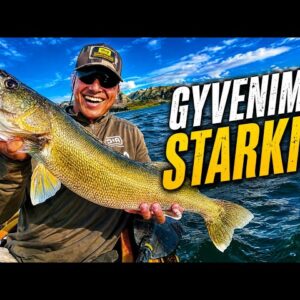 Gyvenimo starkis!
