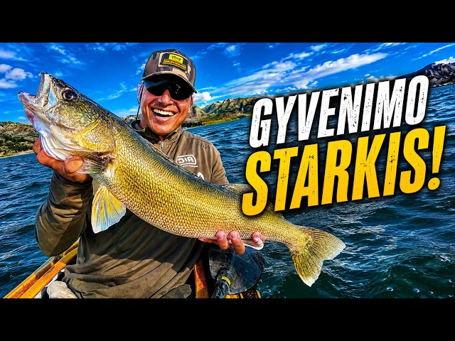 Gyvenimo starkis!