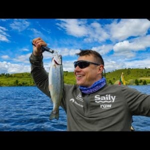 Vakarienei upėtakis! / Trout for dinner