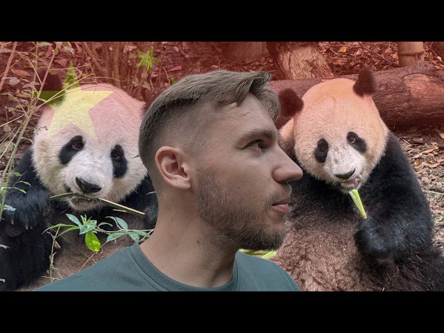 PANDŲ MIESTAS KINIJOJE