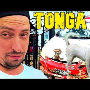 TONGA: TOKIO AUTOMOBILIO NESATE MATĘ!