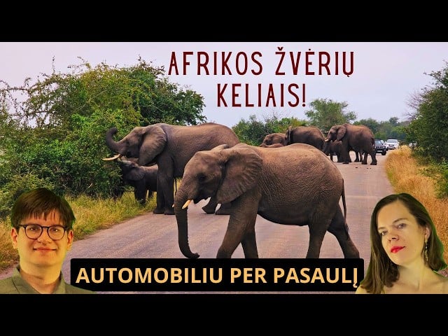 Važiuojam per garsiausią safarių zoną! (PAR Kriugerio parkas) | AŽ Automobiliu per pasaulį